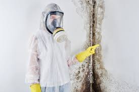 Why You Should Choose Our Mold Remediation Services in Old Hill, CT